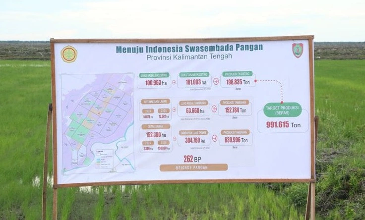 21_Cetak Sawah