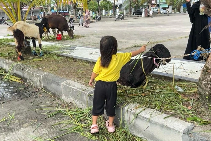 Sembelih Belasan Hewan Kurban, Masjid Raya Darussalam Salurkan 1.500 Kupon Untuk Warga