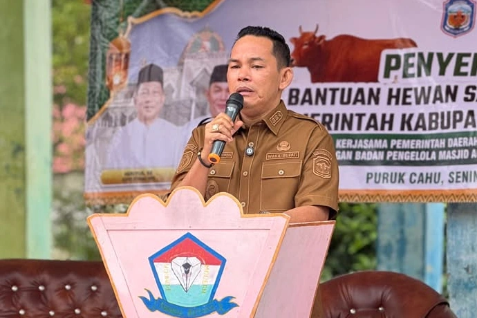 Badan Pengelola Masjid Agung Al-Istiqlal di Murung Raya Salurkan 40 Ekor Sapi Kurban