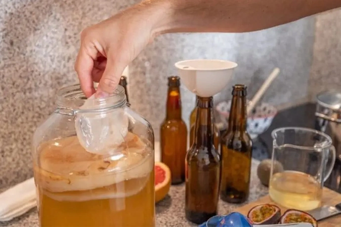 Teh kombucha