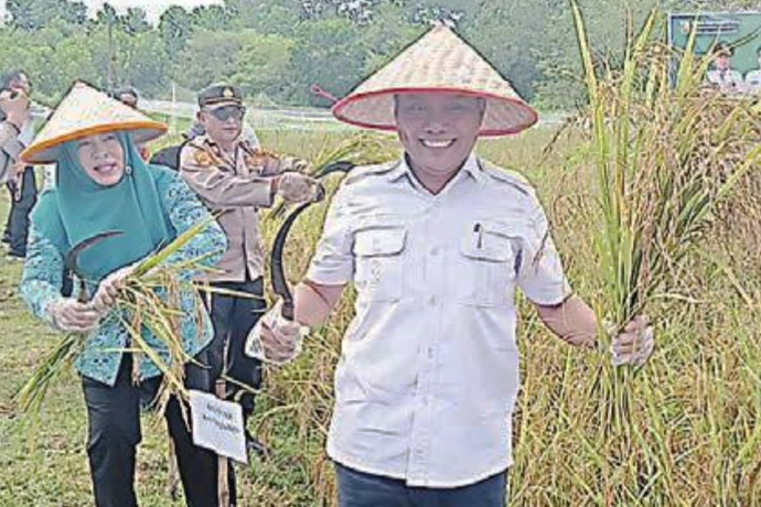 Panen Padi Gogoh, Pemko Palangka Raya Buktikan Pertanian Tetap Bisa Berkembang