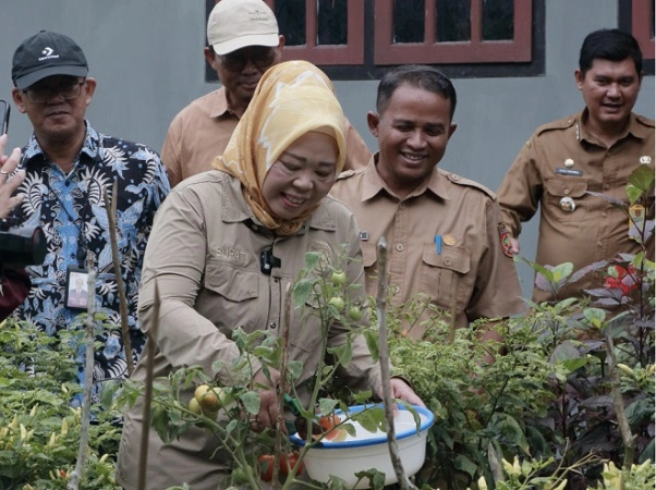 11_Bupati Kobar