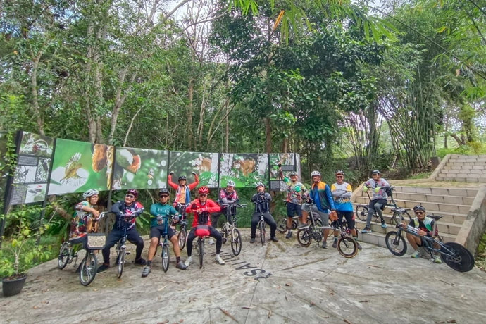 Gowes