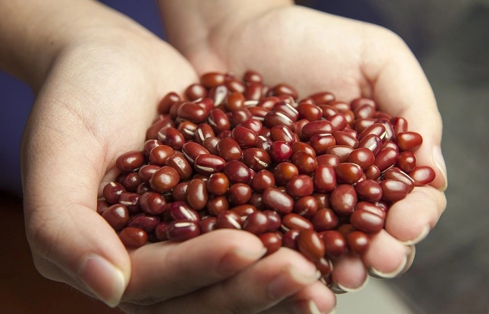 Ilustrasi manfaat kacang merah