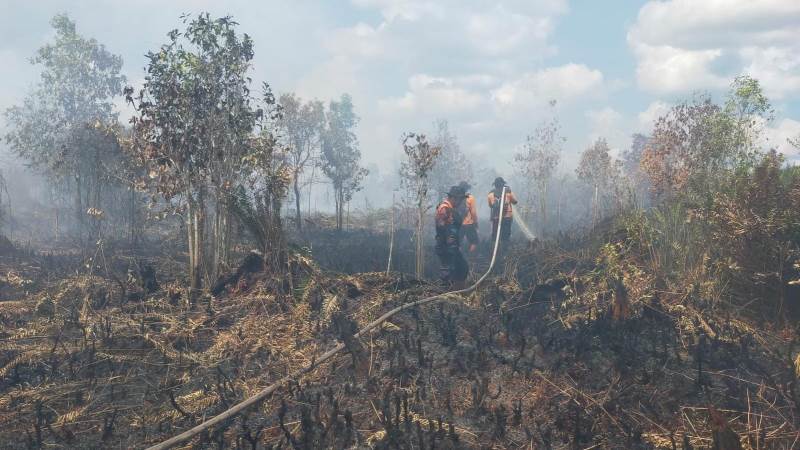 Karhutla Tumbang Nusa Meluas Jadi 41,5 Hektare, Dua Helikopter Diterjunkan