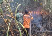 Karhutla di Lamandau Belum Padam, Tim Gabungan Terkendala Akses dan Sumber Air