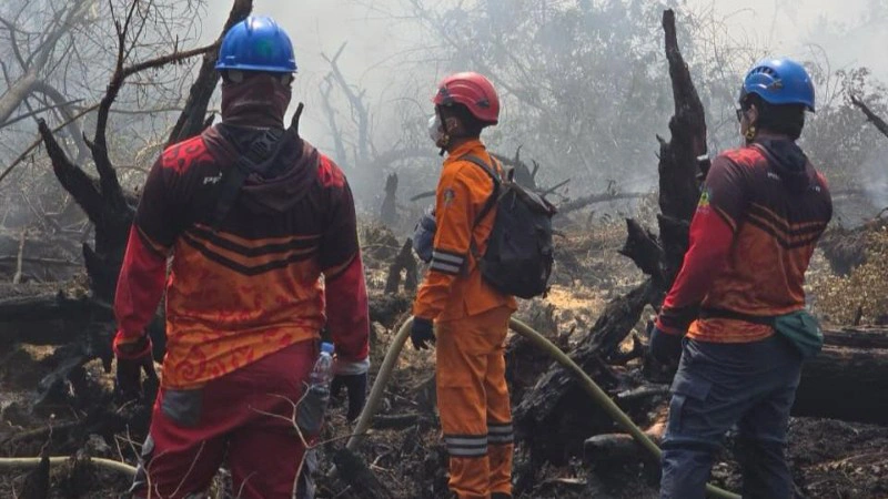 Tim PLN Turun Padamkan Karhutla, Lindungi Lingkungan dan Jalur Transmisi Listrik