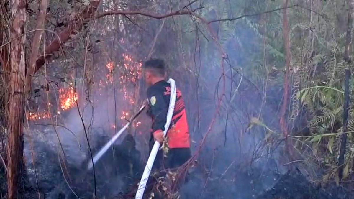 Karhutla Menjalar Mendekati Permukiman Tegal Sari, Petugas Berjibaku Padamkan Api