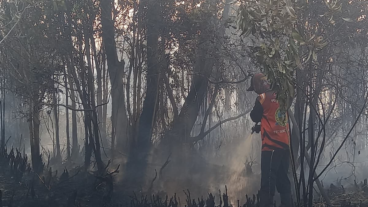 Karhutla Meluas, Tim Gabungan Lakukan Water Bombing di Tengah Sulitnya Akses