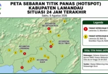20 Titik Panas Terdeteksi di Lamandau, BPBD Minta Warga Waspada Karhutla