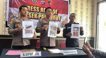 Terjerat Pinjol Jadi Pemicu Suami di Palangka Raya Habisi Nyawa Istri dan Sembunyikan Jasad